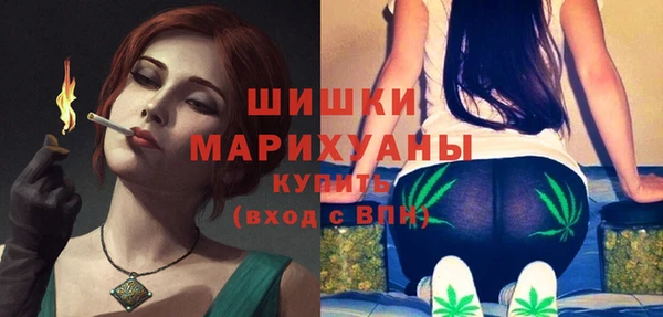 прущие грибы Алапаевск