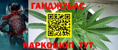 a pvp Гай
