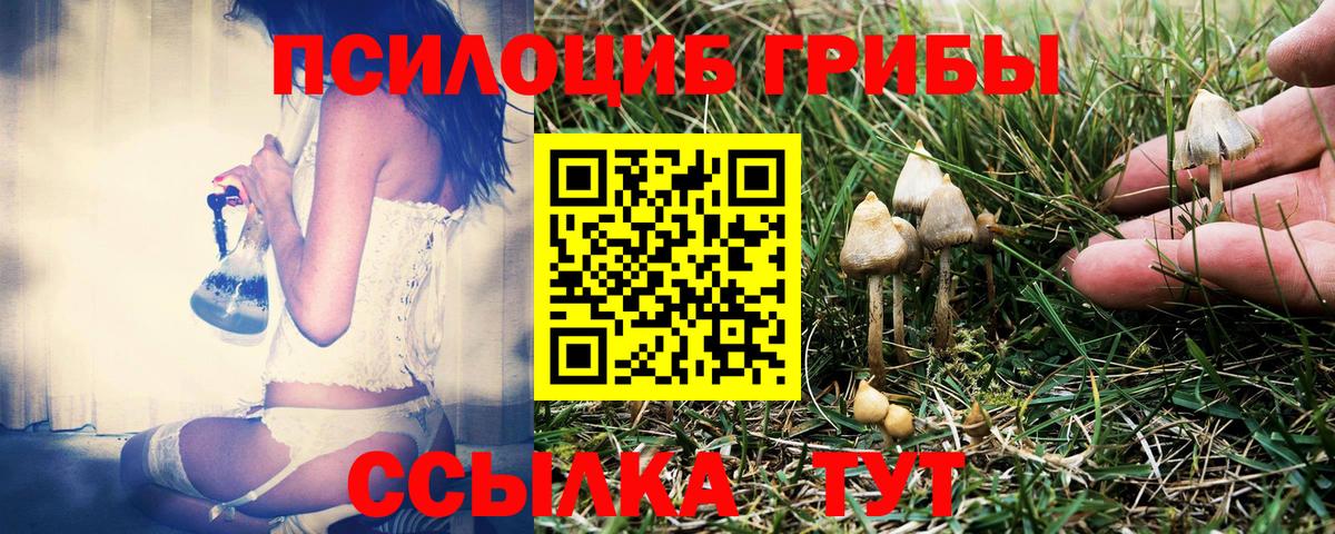 Псилоцибиновые грибы мухоморы Кострома