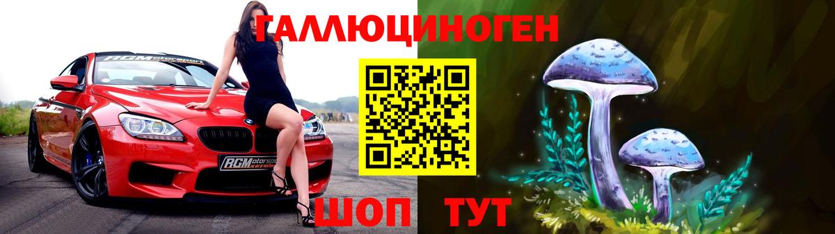 Псилоцибиновые грибы Psilocybe  Кострома 